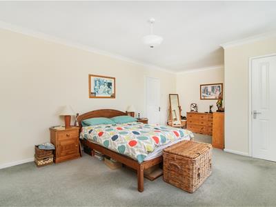 Picture 21
